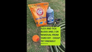 Flea and Tick In your yard Killer  Preventer DIY Cheap works for me 👉CHECK SAFETY IN DESCRIPTION [upl. by Mcripley]