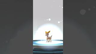 【 ポケモンgo 】 シキジカ（ふゆのすがた） → メブキジカ（ふゆのすがた）【 うさぴよの巣 】 deerling sawsbuck ポケモンgo pokemongo [upl. by Valencia811]