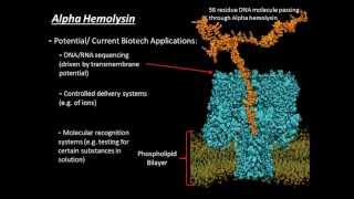 Alpha Hemolysin [upl. by Lew]
