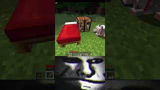 is this a glitch or what  👀💀🔥 minecraft minecrafthumor memes creppypastas shortfeed steve [upl. by Ynnoj]