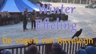 Winter Efteling  De vogels van Raveleijn [upl. by Merrielle]