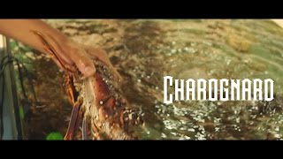 Lopez X Tito Charognard clip officiel by unik king prod 2016 [upl. by Weinberg]