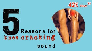 5 reasons on knee cracking sounds [upl. by Noivad]