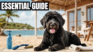 The Ultimate Guide to Portuguese Water Dog [upl. by Hubing929]