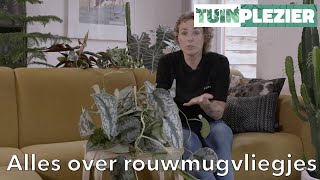 Hoe kom je van die kleine zwarte vliegjes af  Rouwmugvliegjes  TUINPLEZIER [upl. by Acisey]