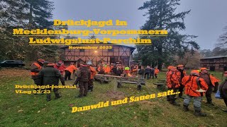 Drückjagd in MecklenburgVorpommern LudwigslustParchim  DrückjagdJournal Vlog  Folge 0323 [upl. by Ateval]