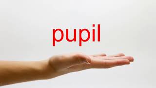 How to Pronounce pupil  American English [upl. by Estis]