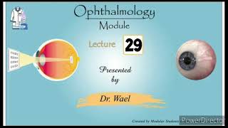 29 Ocular Motility 4 Concomitant Squint  Dr Wael Ophthalmology [upl. by Assilim]