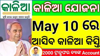 How to check Kalia Yojana Beneficiary New list 2024 କାଳିଆ ଯୋଜନା କିସ୍ତି କେବେ ଆସିବ ଦେଖନ୍ତୁ kalia [upl. by Arria]