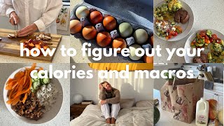 How to calculate your calories and macros for a balanced prometabolic life [upl. by Arlie339]