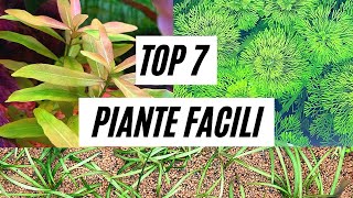 TOP 7 PIANTE FACILI IN ACQUARIO [upl. by Rovert]