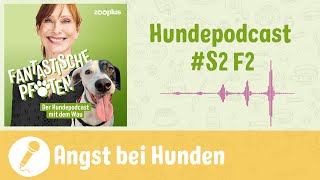 Wenn Hunde Angst haben  zooplus Hundepodcast  S2 F2 [upl. by Morganne900]