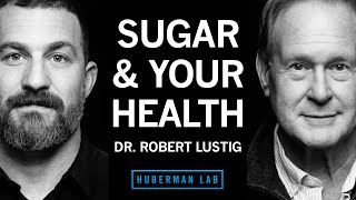 Dr Robert Lustig How Sugar amp Processed Foods Impact Your Health [upl. by Eatnad]