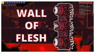 Wall of Flesh Boss Fight  Terraria  Master Mode [upl. by Seys]