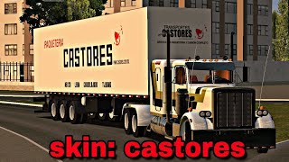 Skin paquetería castores WTDS  Big [upl. by Riannon]