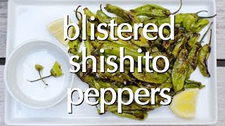 Dinner Party Tonight Shorts Blistered Shishito Peppers [upl. by Leora834]