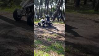 LTZ 400 escape PRO CIRCUIT T4 ltz400 procircuit quads [upl. by Camroc145]