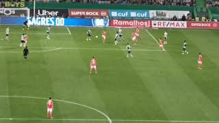 1o GOLO RAFA Na bancada adversária Sporting 0 x 1 Benfica [upl. by Ijneb]