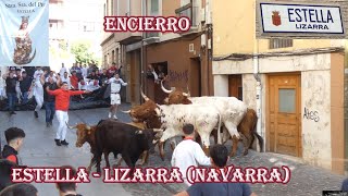 Encierro EstellaLizarra Navarra Mayo 2024 [upl. by Gniy]