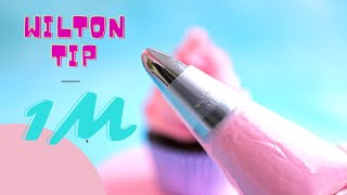 Wilton tip 1M 10 Great ideas to help you master the worlds most popular piping nozzle [upl. by Rus]