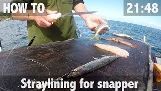 How To Straylining for Snapper amp 30lb Catch [upl. by Eire252]