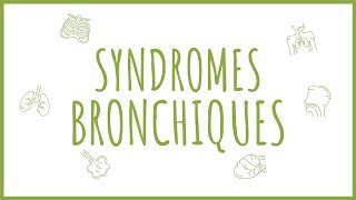 Sémiologie Respiratoire  Introduction aux Syndromes Bronchiques [upl. by Thacker864]