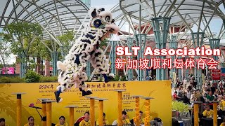 SLT Association Singapore 新加坡顺利坛体育会 Kweichow Moutai Cup Singapore Lion Dance Championship 2024 [upl. by Guod]