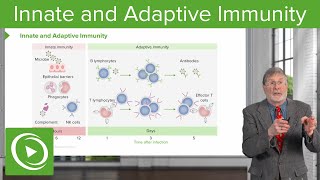 Innate and Adaptive Immunity  Cellular Pathology [upl. by Rooney]