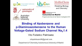 Binding of Azobenzene and pDiaminoazobenzene to the Human VoltageGated Sodium Channel Nav14 [upl. by Ulrich105]