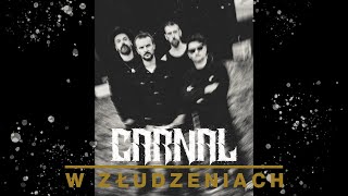 CARNAL  W Złudzeniach  Official Video [upl. by Rayna]