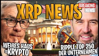 ❗️ XRP Ripple NEWS ❗️ Ripple in den Top 250 der FinTechUnternehmen amp Weißes Haus setzt auf Krypto🏛️ [upl. by Atsillak]