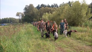 Spotkałem Myśliwych  odcinek 427 Rozpoczynamy sezon polowań na pióro czy ostatni [upl. by Marchak]