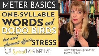 OneSyllable Words  Dodo Birds How Placement Affects Word Stress in Metered Verse  Meter Basics [upl. by Gustave526]