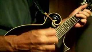 DeArmond Mandolin Pickup Demo [upl. by Felix]