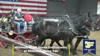 Watch Beautiful Draft Horses at the Midwest Horse Fair 2023 [upl. by Otiv]