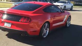 ULTIMATE FORD MUSTANG DRIVING FAILS MUSTANG CRASH COMPILATION [upl. by Mohl]