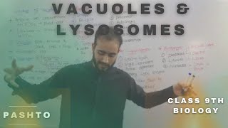 Vacuoles and Lysosomes In pashto  Very Easy  Bya ba darna Ne herege  Class 9th biology [upl. by Maure420]