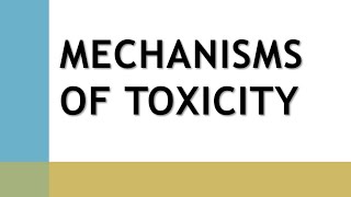 mechanism of toxicity [upl. by Rankin]