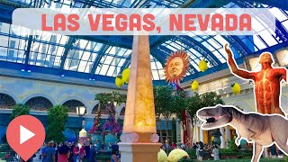 Best Museums in Las Vegas Nevada [upl. by Ydnic]