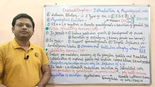 Endocrine Gland Part08  Gonadotropin Hormone  Physiology amp Pharmacology of Gonadotropin [upl. by Ardried]