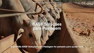 BASF Soluções para Pastagem [upl. by Ahtelrac254]