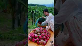 fruit naturallifeb satisfying naturalclips fruitcutting naturelife dragonfruit food plants [upl. by Salahi]