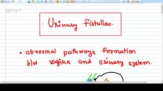 Urinary Fistula  concept [upl. by Alliuqet]