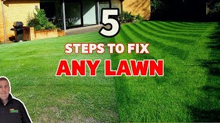 How to get the BEST lawn this year  And see the results BEFORE and AFTER [upl. by Arraic]