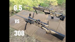 308 vs 65 creedmoor at 1000 yards [upl. by Noswal361]