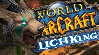 Feral Tank WotLK Classic PVE Guide Express [upl. by Laubin]