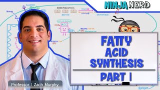 Metabolism  Fatty Acid Synthesis Part 1 [upl. by Aenal]