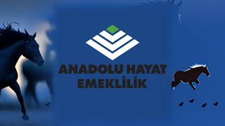 ANHYT  Anadolu Hayat Emeklilik AŞ hissesinin Temmuz Sonu takas animasyonu [upl. by Blanca]