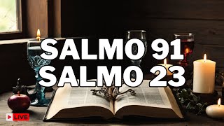 Salmo 91 y Salmo 23 ¡¡Las oraciones más poderosas de la Biblia [upl. by Adlecirg]