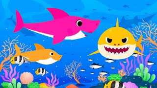 Baby Shark Song amp Dance  Nursery rhymes amp Kids Songs  toddlers [upl. by Kelby]